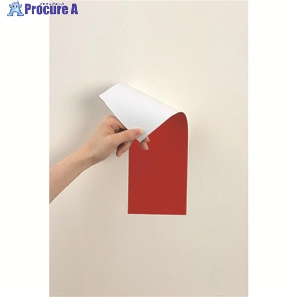 ●幅(mm)：100●長さ(mm)：300●厚さ(mm)：1.0●タイプ：ツヤ無し●色：赤/白●規格：両面磁力