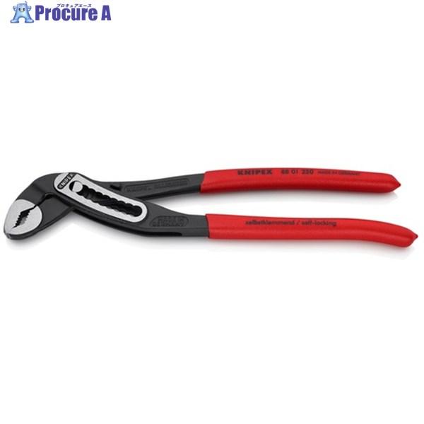 ●全長(mm)：250●最大口開き(mm)：46●調整(段階)：9●くわえられる管外径(mm)：50●グリップタイプ：プラスチックコート●ヘッド：磨き●刃の硬度：61HRC