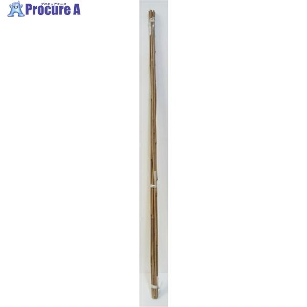 伝蔵 園芸支柱120cm10本束 ▽520-7944 J072 1束 : プロキュアエース