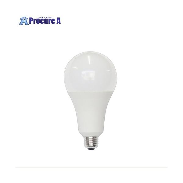セフティー キラリトライトLEAD 工事用LED電球 口金E26 100/200V兼用 屋外用 150W相当  ▼567-2795 SH20-TL  1本