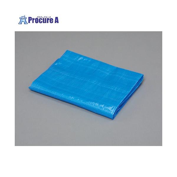 【送料都度見積】●幅(m)：1.7●長さ(m)：2.6●番手(#)：1000●ハトメ数(個)：10●色：ブルー