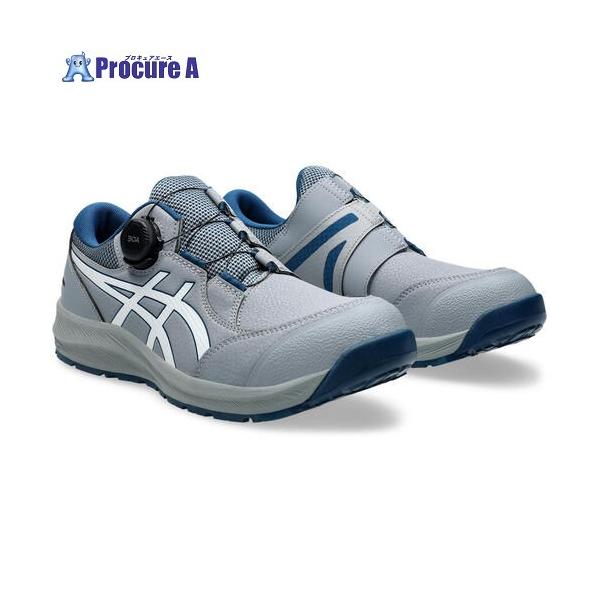 ASICS ウィンジョブCP309 BOA シートロックXホワイト 30.0cm ▽606