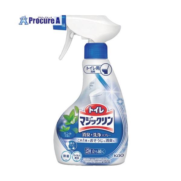 ●容量(ml)：350●容量(L)：0.35●香り：ミント●タイプ：本体