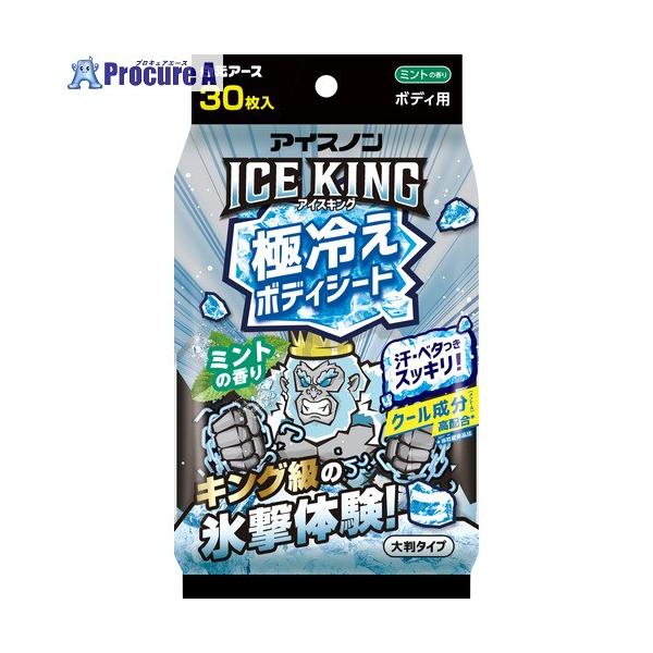 白元アース アイスノン アイスノン ICE KING 極冷えボディシート