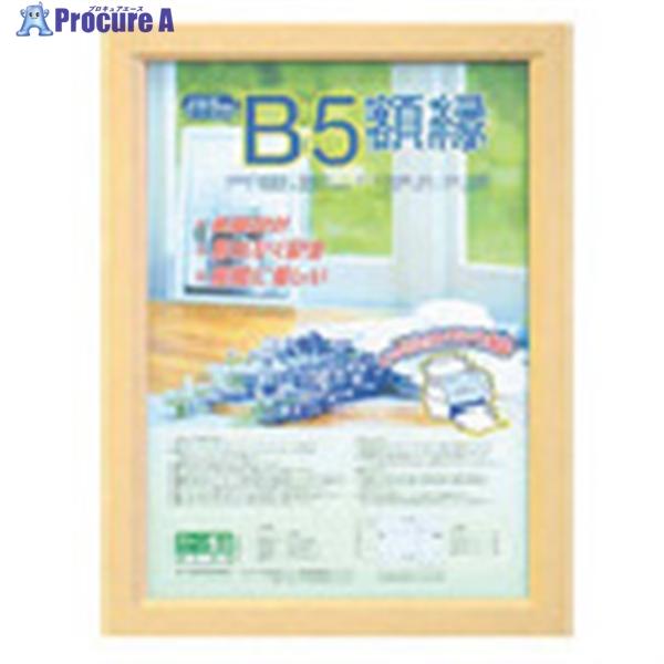 他サイト： ナカバヤシ 樹脂製軽量額(キジ)パック/B5  ▼723-9718 KWP-51  1枚の商品画像