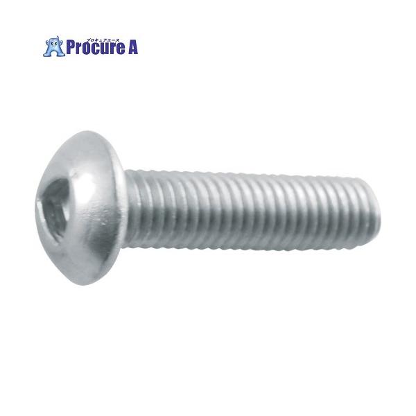 TRUSCO 【アウトレット】三角穴ボタンボルト ステンレス M5×20 7本入  ▼765-0175 B101-0520  1パック