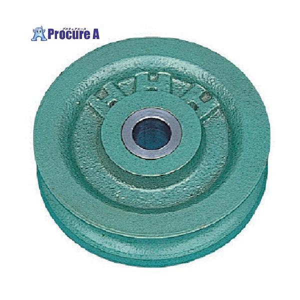 【代引決済不可】【送料都度見積】  ●直径(mm)：200