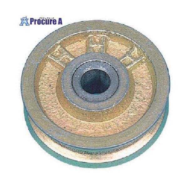 【代引決済不可】【送料都度見積】  ●最大使用ロープ径(mm)：12●車径(mm)：100●車溝幅(mm)：14
