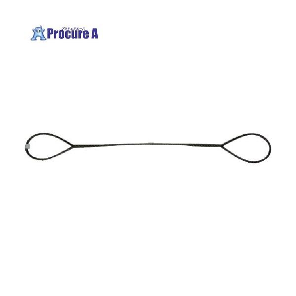 ●ロープ径(mm)：12●長さ(m)：2.5●使用荷重(kg)：960