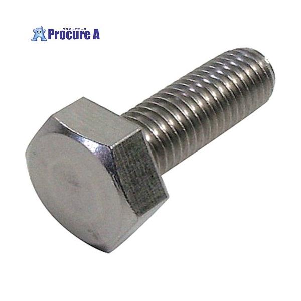 他サイト： DAIDOHANT HP ステンレス六角ボルト 5X50 2本入  ▼828-4157 10184561  1袋の商品画像