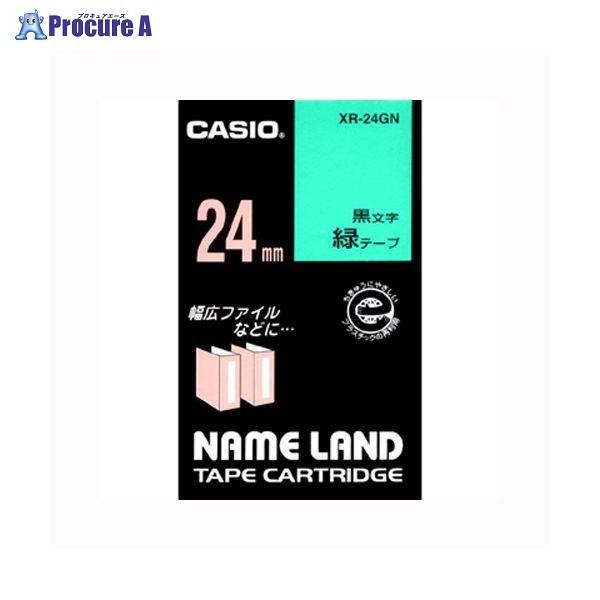 CASIO l[he[v24mm / XR-24GN 12813 JVIvZ@() a559