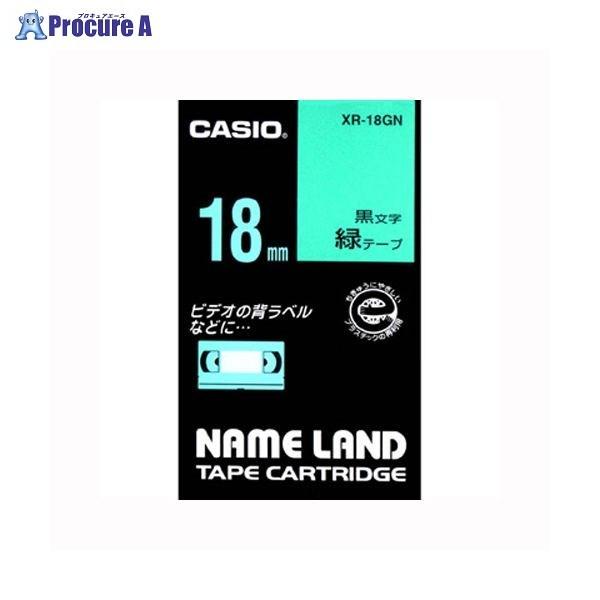 CASIO l[he[v18mm / XR-18GN 12819 JVIvZ@() a559