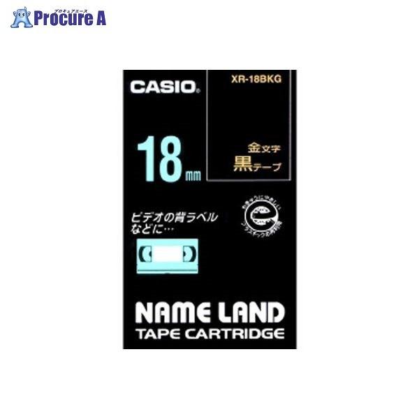 CASIO l[he[v18mm / XR-18BKG 12825 JVIvZ@() a559