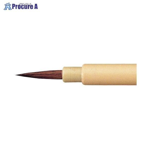 SAKURA fUCM ʑ  \E`E 17521 ()TNNpX a559