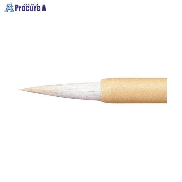 SAKURA fUCM ʐF  TCVL_C 17523 ()TNNpX a559