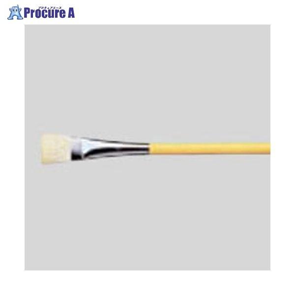 SAKURA fUCM M 6 qtf6 17526 ()TNNpX a559