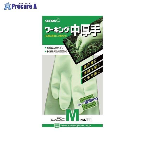 SHOWA No.111[LOO[ M 154026-09-15 25919 V[O[u() a559