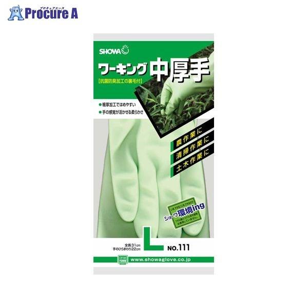 SHOWA No.111[LOO[ L 154026-09-16 25921 V[O[u() a559