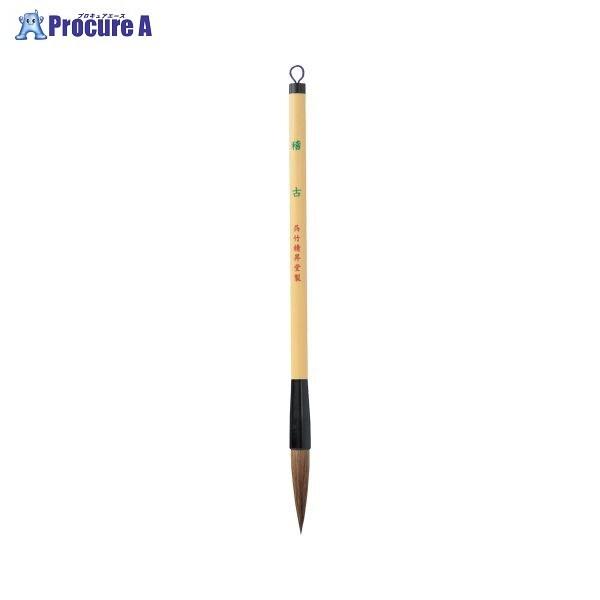 | M m 4  JC333-4 28847 ()| a559