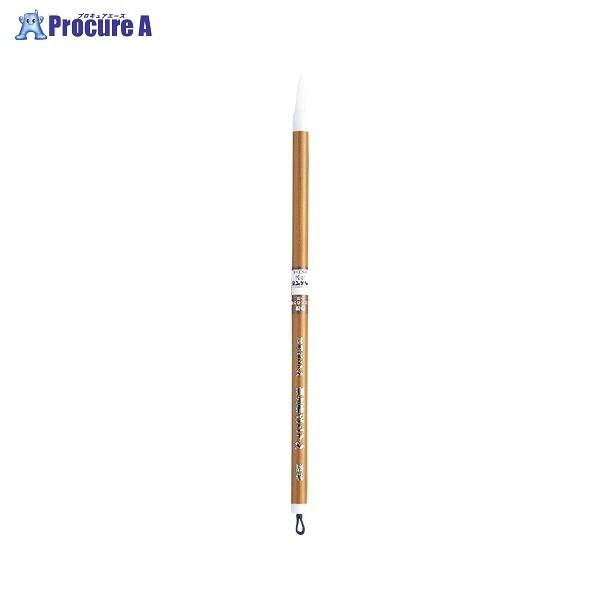 Pentel ʕM IM (pbN) XFS1-1 28851 ؂Ă() a559