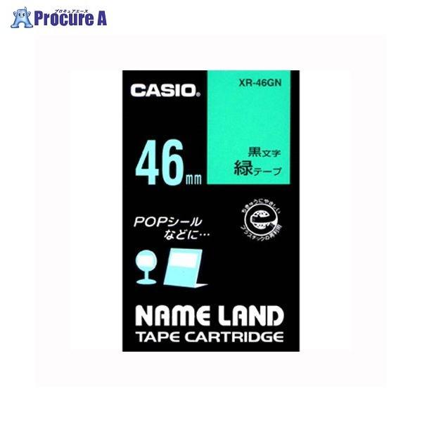 CASIO l[he[v46mm / XR-46GN 31129 JVIvZ@() a559