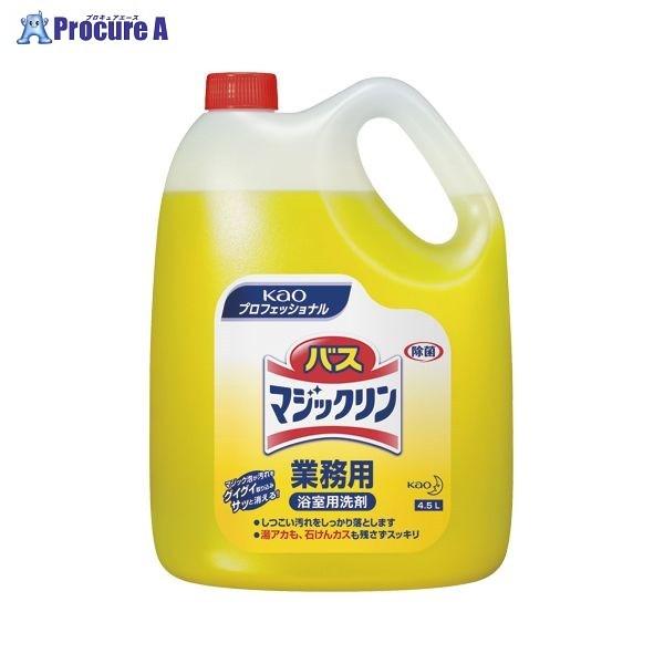 Kao oX}WbN 4.5L 021205 34548 ԉ() a559