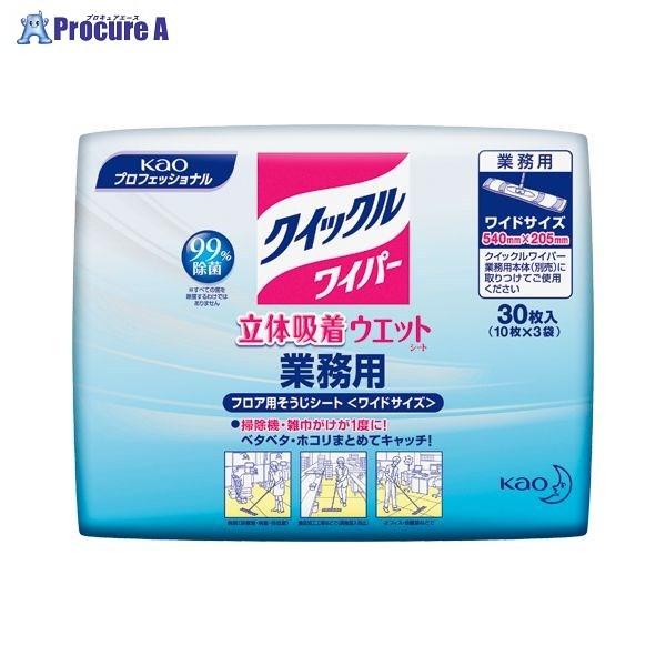 Kao NCbN̋zEGbgV[g30 510440 34902 ԉ() a559