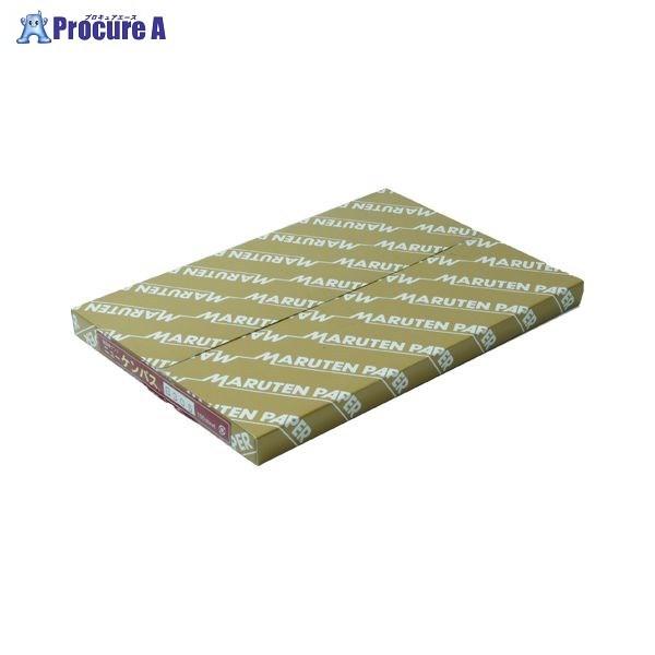 �S�[�N�� �j���[�P���p�X ���� B5 100�� B305 ��35825 (��)�S�[�N�� ��a559