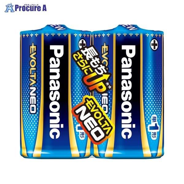 Panasonic G{^NEOP1`2{VNpbN LR20NJ/2SE 37244 pi\jbN() a559