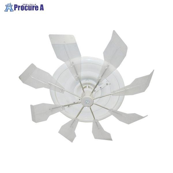 KING JIM  nCubhEt@SJR NA HBF-SJRCW 37289 ()LOW a559