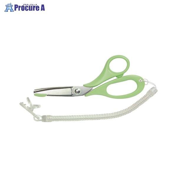 ؑn i-X͂ fBT| MS1-145G 37327 ()ؑn쏊 a559