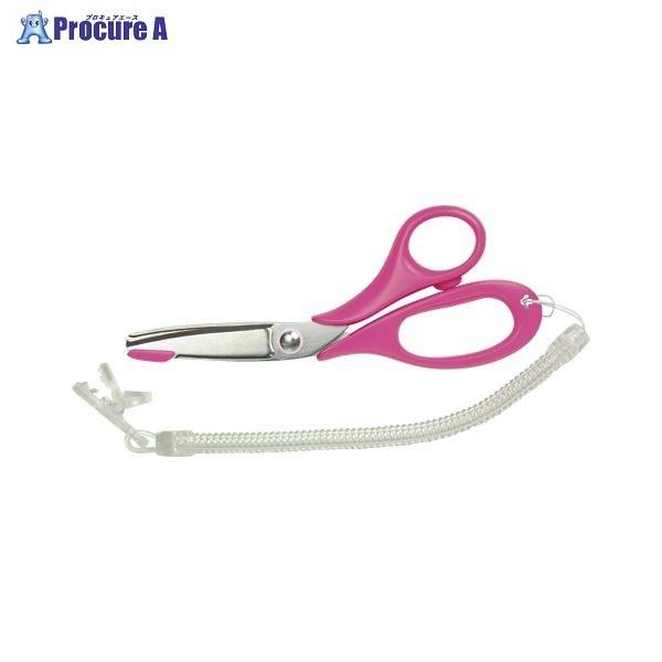 ؑn i-X͂ fBT| MS1-145P 37328 ()ؑn쏊 a559