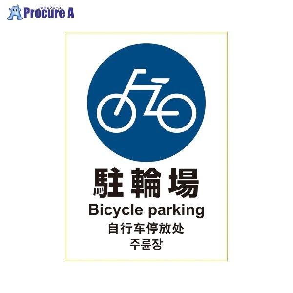 qTS XebJ[ ֏      A4 KLS035 40501 qTS() a559