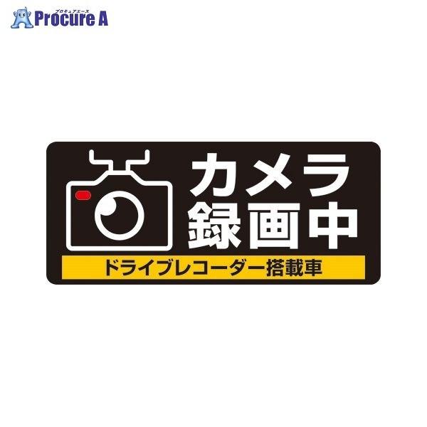 qTS hCuR[_[V[S SR013 40509 qTS() a559