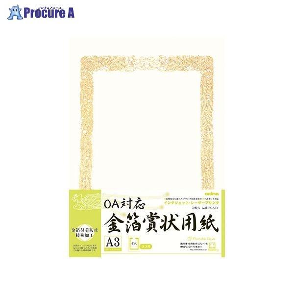 Okina OAΉ܏p A3R SGA3Y 40951 ILi() a559