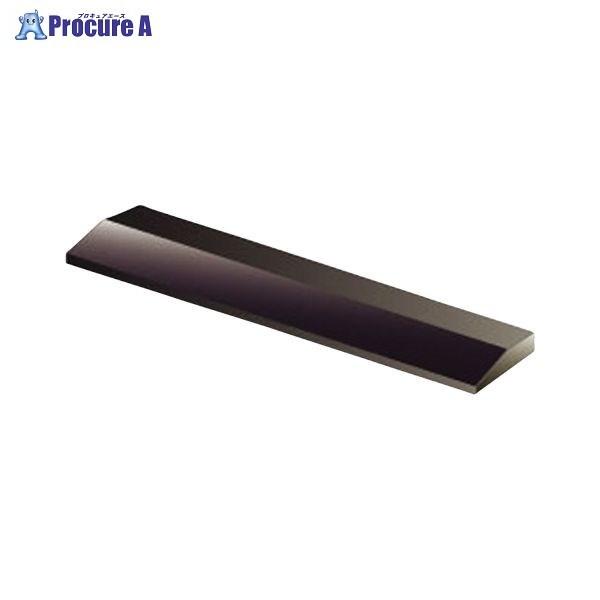 RNg ܏(܏~p)ؐh 250X45 T-1 52876 RNg() a559