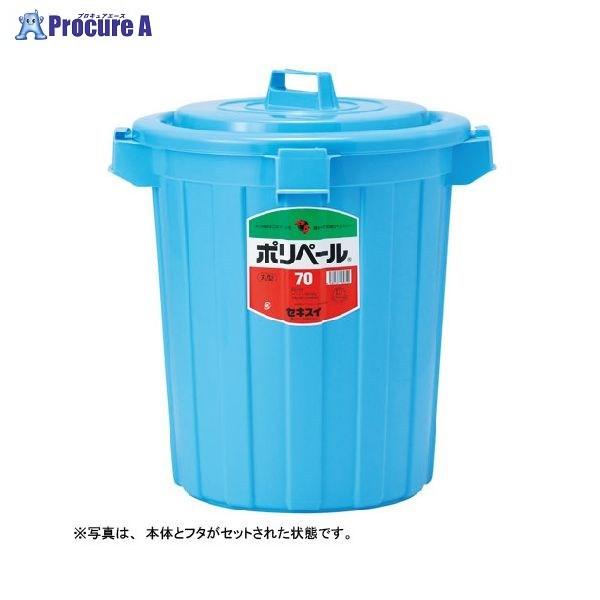 ϐw |y[ی^#70(t^) u[ P705FB 61339 ϐwH() a559