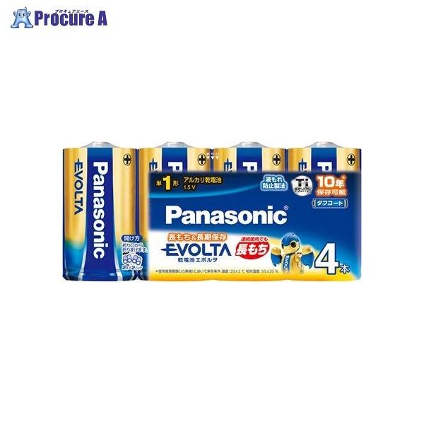 Panasonic G{^P1 4pbN VN LR20EJ/4SW 73804 pi\jbN() a559