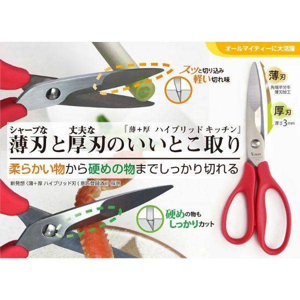 procure-a_hb1-210n-b_1_d_20231017164338