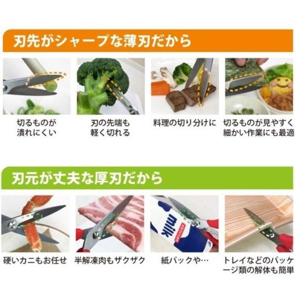 procure-a_hb1-210n-b_2_d_20231017164341