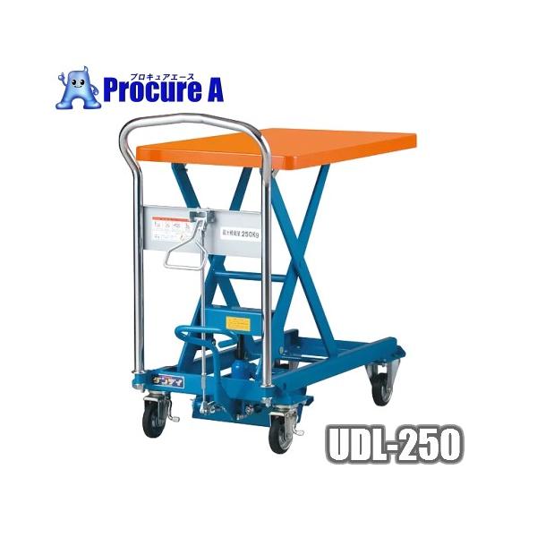 ԉq _fBtg UDL-250 YA509