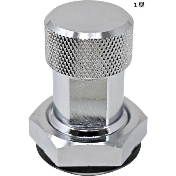 希少！オーガニック　カレーリーフ ビックサイズ　一株　まもなく売り切れ‼️残少 楽天市場】カレー リーフ 苗の通販