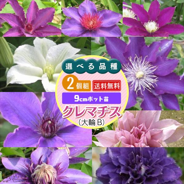 N}`X B iIׂij 2Zbg i  j 9cm|bgc