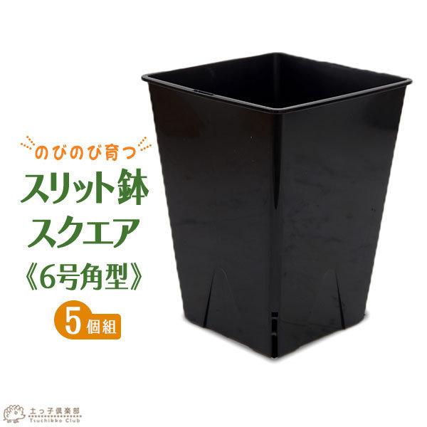 ̂т̂ш w Xbg XNGA x 6p^y5Zbgzy  z