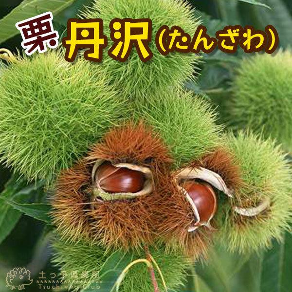 I w O i񂴂j x 15cm|bgc