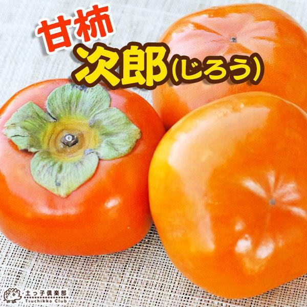 `iÁj w Yi 낤 j x 15cm|bgc