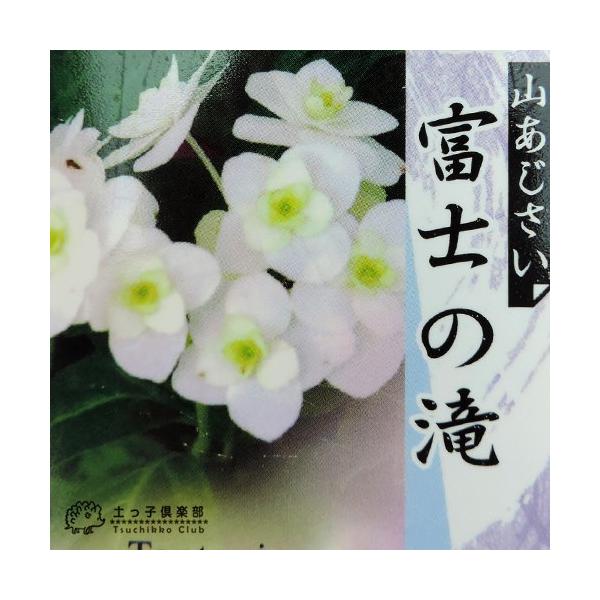 produce87_hs-158