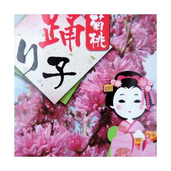 菊桃 花桃 踊り子 13 5cmポット苗 Buyee Buyee Japanese Proxy Service Buy From Japan Bot Online
