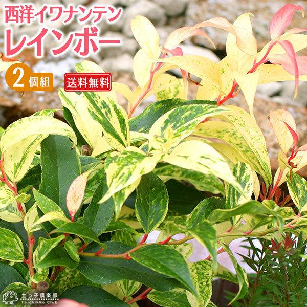 mCie w C{[ x 2Zbg i  j 9cm|bgc