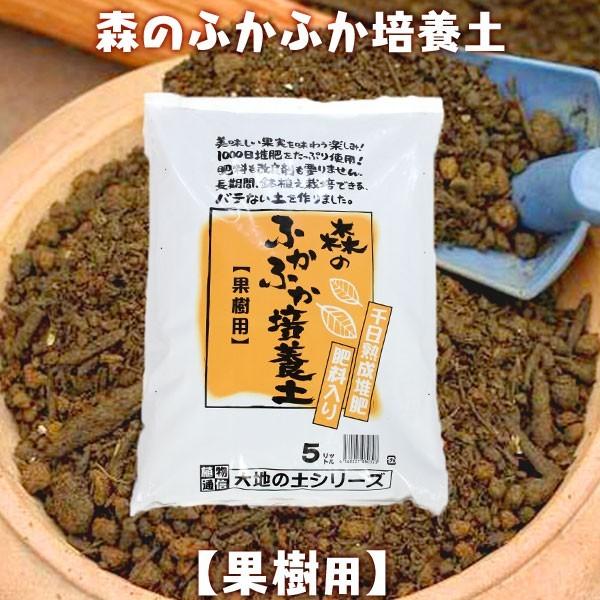 X̂ӂӂ|{y w ʎp x  2Zbg i  j 5bg